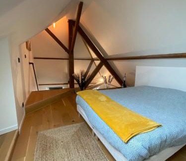 Centre Ville Apartment | "LE COCON" en HYPERCENTRE PARKING GRATUIT