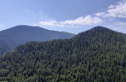 Roubion House | Le Génépi - ROUBION - Gîte