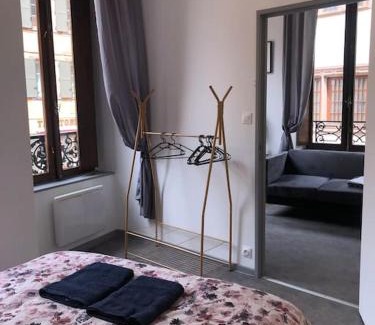 Belfort Apartment | Le Logis du Lion - centre historique Belfort