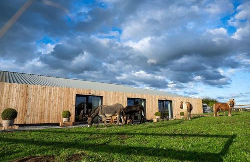 Lontzen House | Le Marzelheide 2