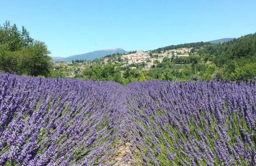 Sault Bed & Breakfast | Le Mas des Lavandes