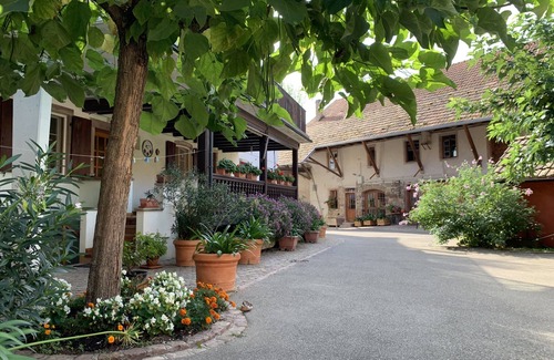 Mittelhausbergen Apartment | Le Murier: in the heart of a farmhouse