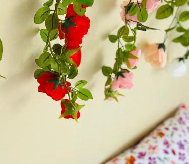 Centre ville - Urbanistes Apartment | Le Peuplier - Quartier urbanistes Fougères