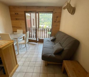 Saint-Jean-dʼAulps Apartment | Le Pied des Pistes A13, Joli Studio tout confort 4 pers, vue vallée imprenable, DRAPS NON COMPRIS