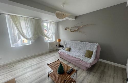 Lavaur Apartment | Le pont Saint Roch Logement lumineux avec garage