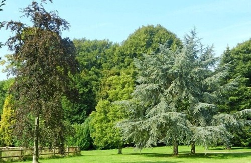 Touques House | LE PRESSOIR DES HERBES 17th-century building 5 km Deauville and Trouville