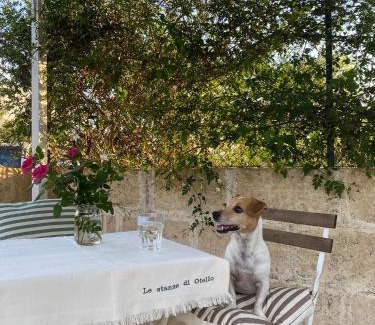 Ruffano Bed & Breakfast | Le stanze di Otello