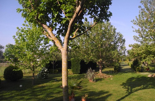 Ilida House | Lea΄s Home is the ideal place to rest and relax nearby