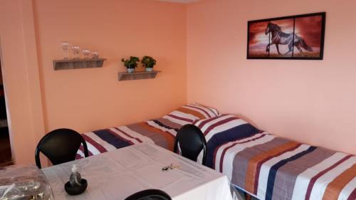 Province of Tierra del Fuego Apartment | Lecao