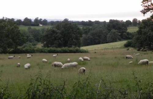 Bourg-le-Comte House | Les Belins