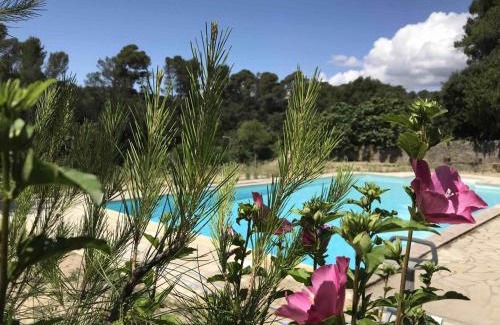 Laure-Minervois Bed & Breakfast | Les chambres du domaine de russol