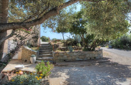 Centuri Apartment | Les Oliviers