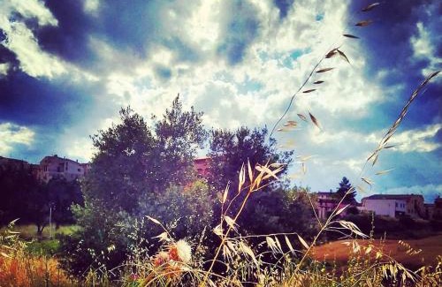 Arnes House | Les Valletes