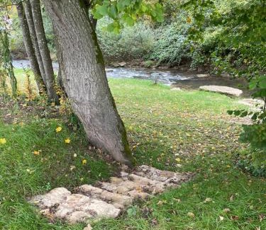 Grundhof Apartment | LetzCamp Mullerthal Appartments & Bungalows