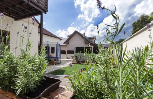 Velky Slavkov House | LEVIAL Rooms