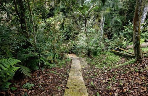 Hulu Selangor House | LilyJoe Treehouse Serendah