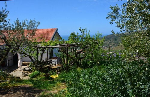 Castellabate Cottage | Little house in the hills in Castellabate, very scenic