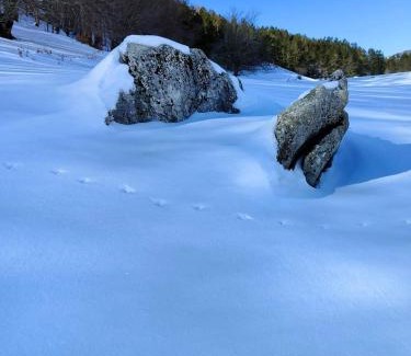 Picinisco Apartment | Lo chalet Biancaneve