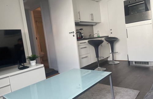 Oslo City Centre Apartment | Located at Heart of City Center