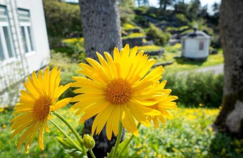 Kabelvag Hostel | Lofoten sommerhotell og vandrerhjem
