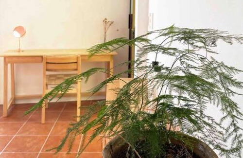 Oaxaca Apartment | Loft ideal con cochera a 10 minutos del centro