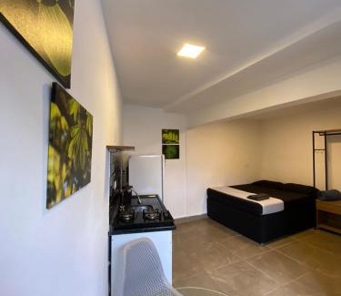 Mogi das Cruzes Villa | Loft Santos dumont