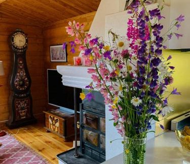 Mora House | Log Cabin Near Vasaloppet Ski Trail In Gopshus