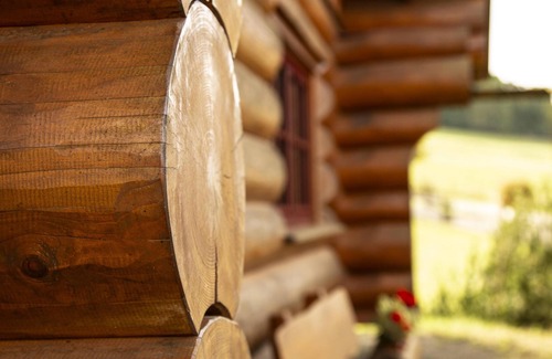 Emsetal House | Log cabin with sauna in the Thuringian Forest