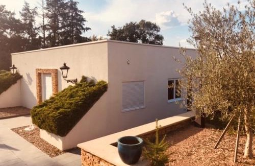 Commelle-Vernay House | Logement cadre Champêtre, entre ville et campagne