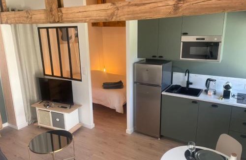 Mimizan Apartment | Logement entièrement rénové entre le bourg et les plages océanes, calme et confort climatisé, terrasse spacieuse, WIFI, parking gratuit, linge et ménage compris, proche des commerces ouverts toute l'année