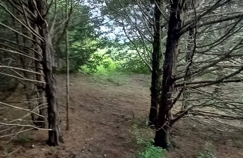 Elkland RV Rental | Lonely Pine @B Berry Farms