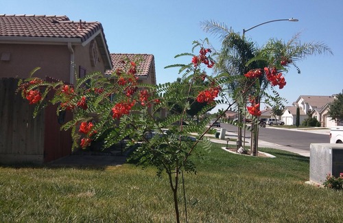 Los Banos House | *Los Banos* Relax and "Have A Great Stay Here For Your Journey"