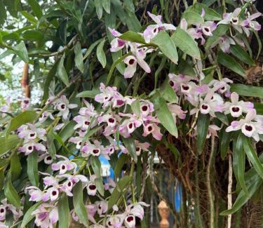 Ciudad Del Este Apartment | Los Monges Aparthotel