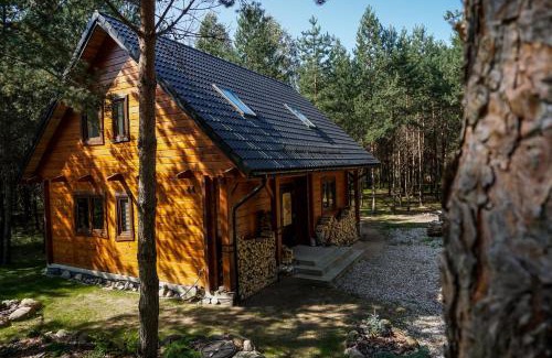 Grodek House | Łosia Chata