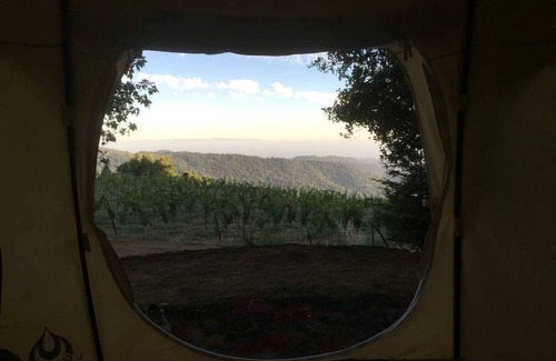 Los Gatos House | Lotus Yurt in Vineyard Overlooking Monterey Bay near Los Gatos, California