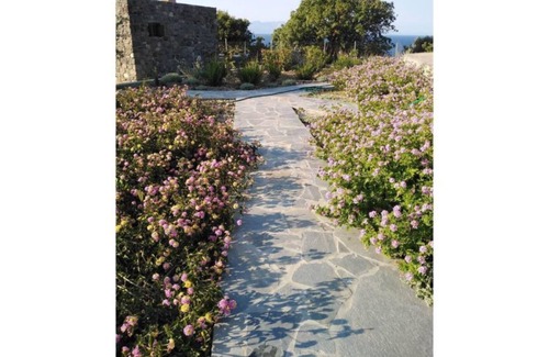 Nisyros House | Loutra Olive Garden Stone House #3