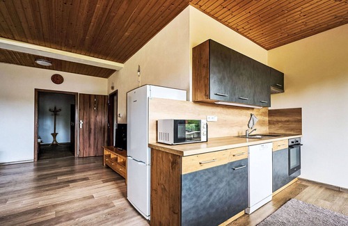 Nova Ves nad Nisou Apartment | Lovely apartment for 4 guests with WIFI, TV and terrace