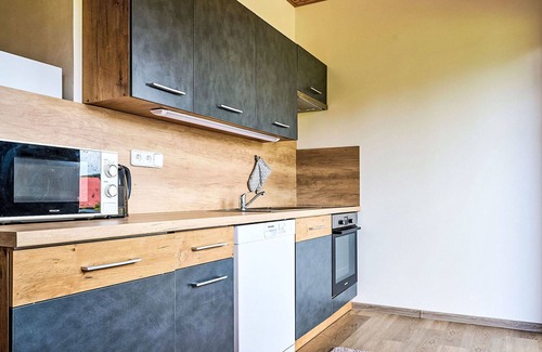 Nova Ves nad Nisou Apartment | Lovely apartment for 4 guests with WIFI, TV and terrace