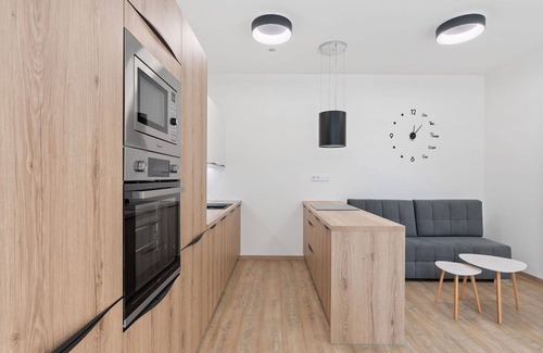 Janov nad Nisou Apartment | Lovely apartment for 3 guests with WIFI, TV and terrace