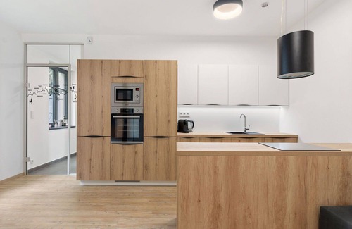 Janov nad Nisou Apartment | Lovely apartment for 3 guests with WIFI, TV and terrace
