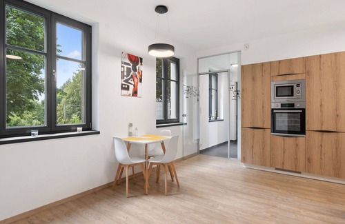 Janov nad Nisou Apartment | Lovely apartment for 3 guests with WIFI, TV and terrace