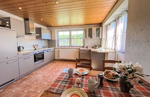 Eisenbach Apartment | Lovely apartment for 3 guests with WIFI, TV, patio, pets allowed and parking