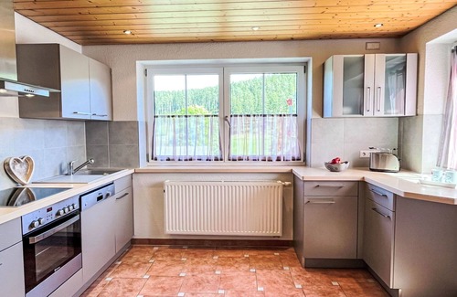 Eisenbach Apartment | Lovely apartment for 3 guests with WIFI, TV, patio, pets allowed and parking