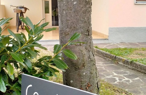 Stabbia Apartment | Lovely appartmente in toscany countryside