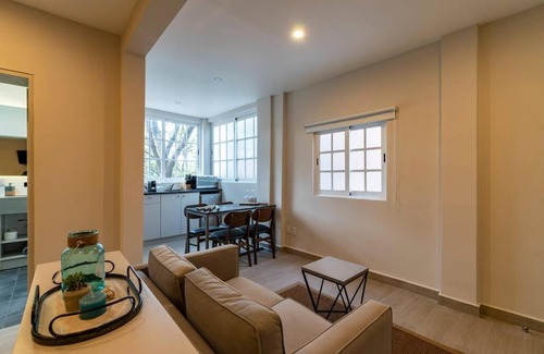 Del Carmen Apartment | LOVELY LOFT COYOACAN (DIEGO)