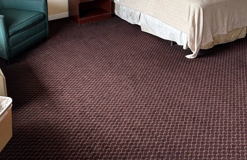 Paw Creek Hotel | Loyalty Inn Charlotte Airport