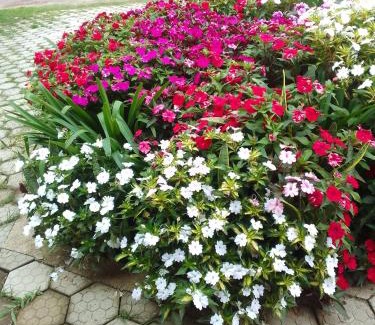 Visconde de Maua Ski Chalet | LUMIAR Recanto