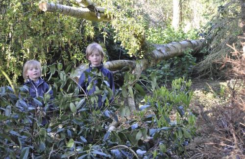 Horne Bed & Breakfast | Lundsgaard Bed & Breakfast