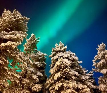 Lampivaara Ski Chalet | Luosto Villa by Lapland Villas, near Lake Aarnilampi Beach, Great Private Villa for Families & Outdoor Lovers, sauna, wifi