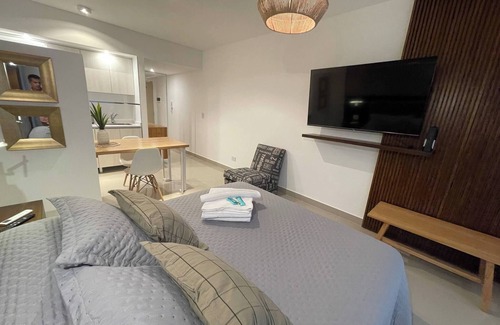Buenos Aires Central Business District Apartment | Luxurious Studio In San Telmo-paseo De La Cisterna